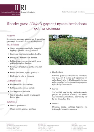 rhodeoromifa.pdf.jpg