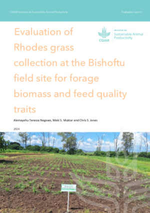rhodes_grass.pdf.jpg