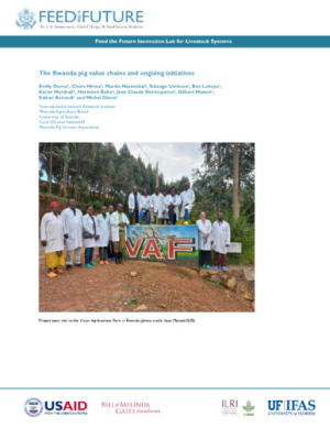 rwanda_ value_chains.pdf.jpg