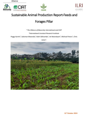 sapling report 2024_updated.pdf.jpg