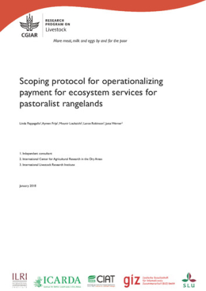 scoping_pastoralist.pdf.jpg
