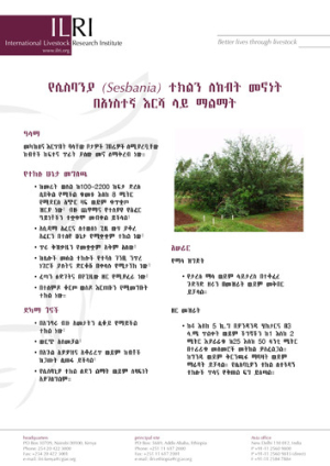 sesbaniaamharic.pdf.jpg