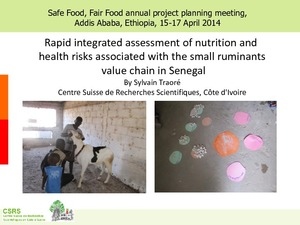 sfff2014senegal.pdf.jpg
