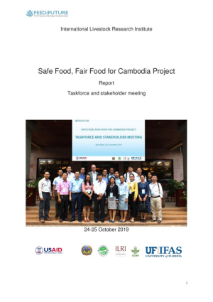 sfffCam_taskforce_report_2019.pdf.jpg