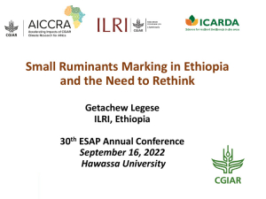 sheep and goat markets_ESAP.pdf.jpg