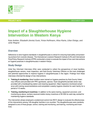slaughterhouse_project_report_2024_PN.pdf.jpg