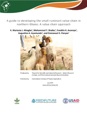 small ruminant value chain_0807.pdf.jpg