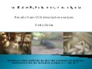 spvcdugandasystems.jpg