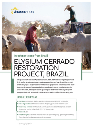 stelarr case study from Brazil.pdf.jpg stelarr case study from Brazil.pdf.jpg