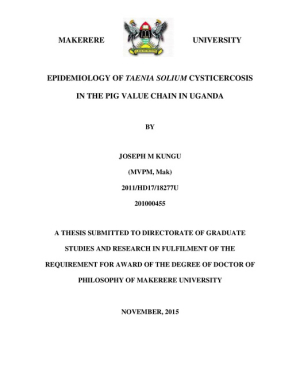 thesis_kungu_nov2015.pdf.jpg