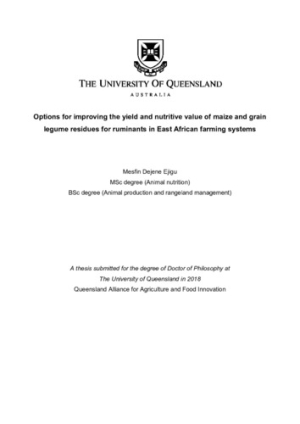thesis_mesfin_2018.pdf.jpg