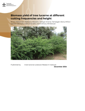 tree lucerne cutting_2024.pdf.jpg