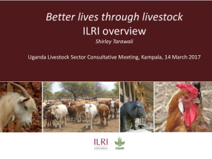 uganda_lscm_ilri_mar2017.pdf.jpg