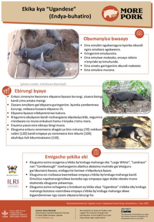 uganda_pig_breeds_local_runyakitara.pdf.jpg