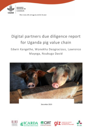 uganda_pig_vc.pdf.jpg