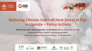 uganda_pigs_briefing_10Dec20.pdf.jpg