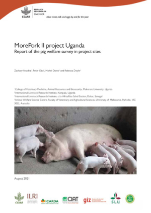 uganda_pigs_welfare_jun2021.pdf.jpg