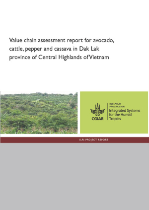 value_chain_assessment_vietnam.pdf.jpg