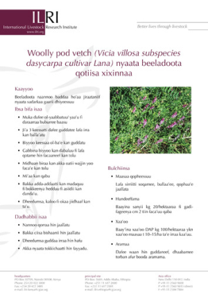 vetchoromifa.pdf.jpg