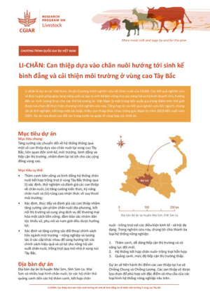 vietnam_country brief_vi.pdf.jpg