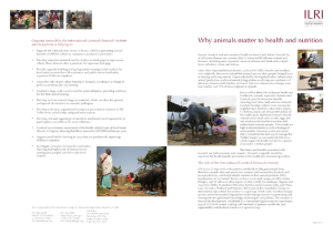 whyanimalsmatter_feb2011.pdf.jpg