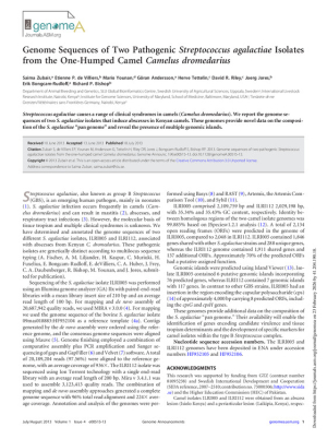 zubair-et-al-2013-genome-sequences-of-two-pathogenic-streptococcus-agalactiae-isolates-from-the-one-humped-camel.pdf.jpg