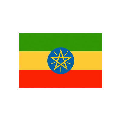 Government of Ethiopia