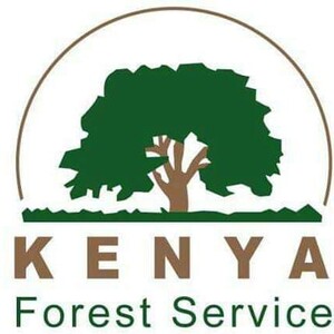Kenya Forest services