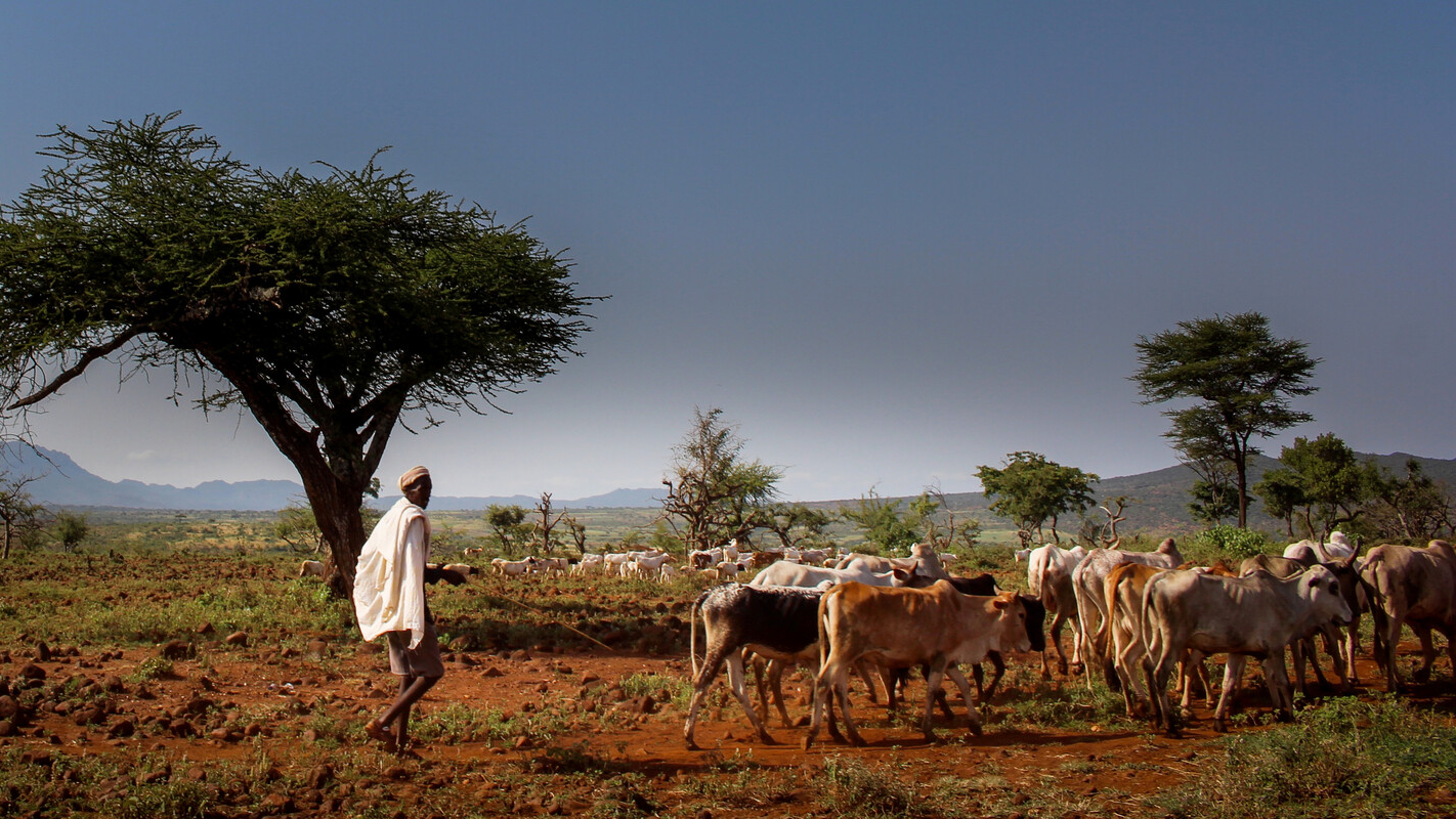 When policy meets pasture: Farmers and scientists joining forces to shape a fair climate future