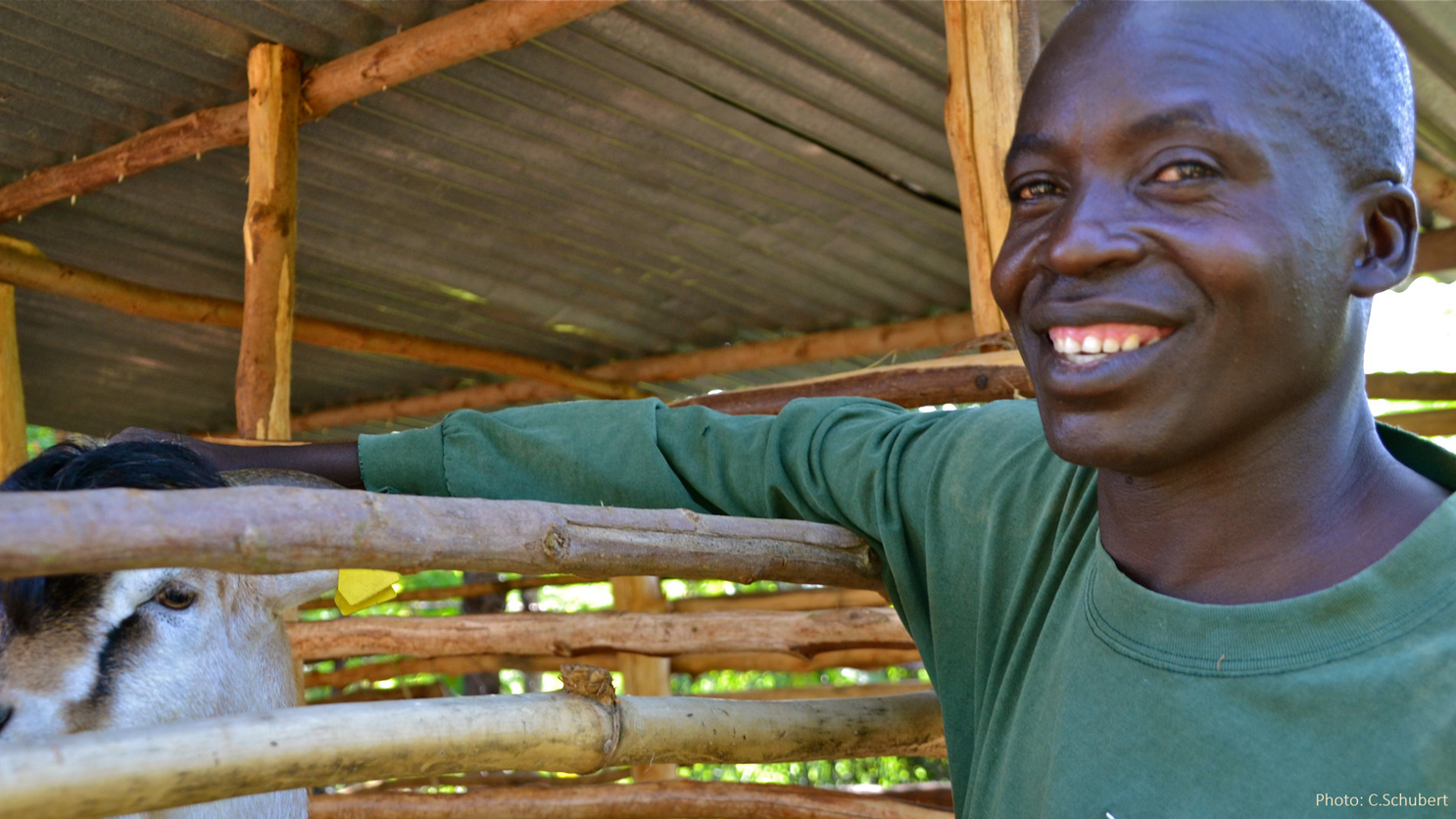 African scientists support critical steps to align agricultural policies with global climate goals
