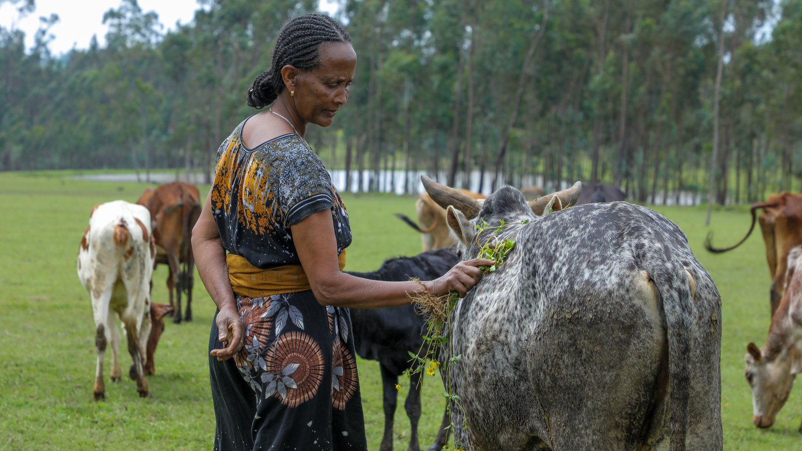 farmers and extension agents