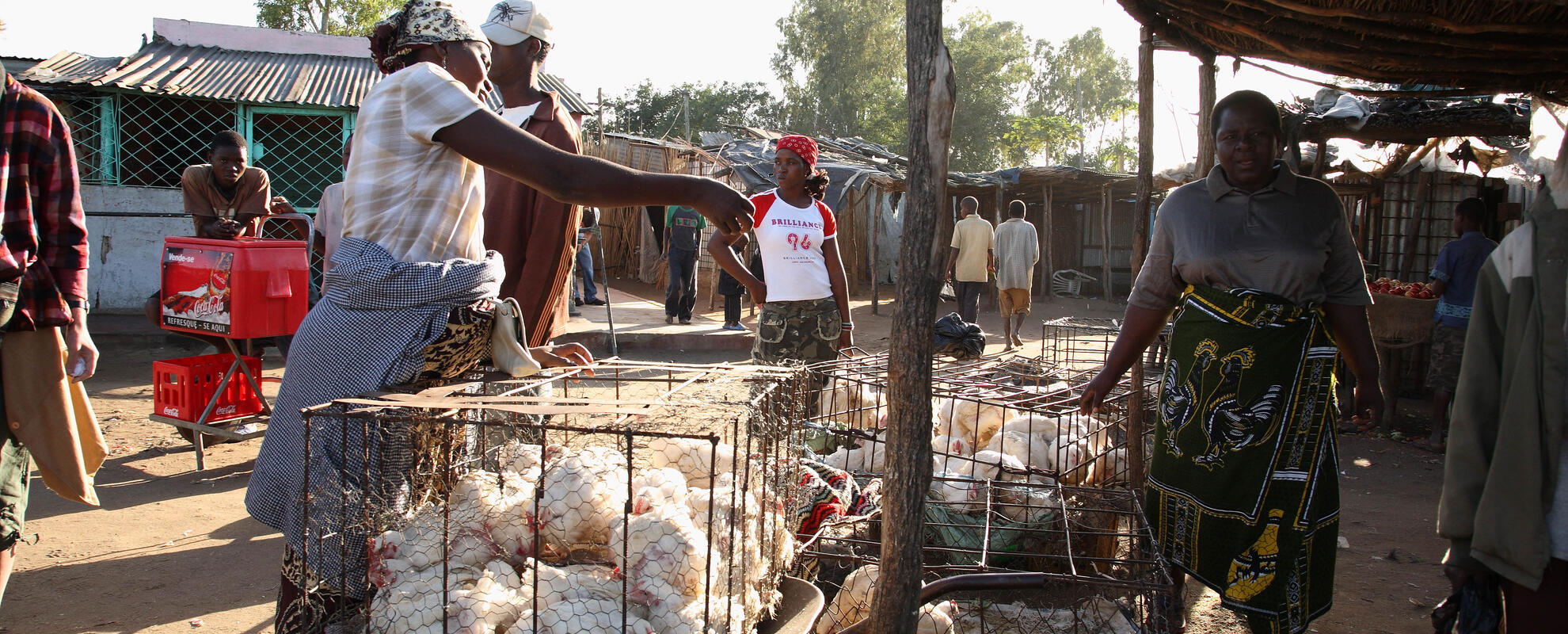 Poultry sellers in Mozambique #2 (ILRI / Stevie Mann).