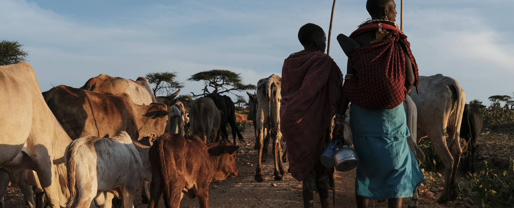 Pastoralists walking with their herd (ILRI Livestock CRP/ Kabir Dhanji).