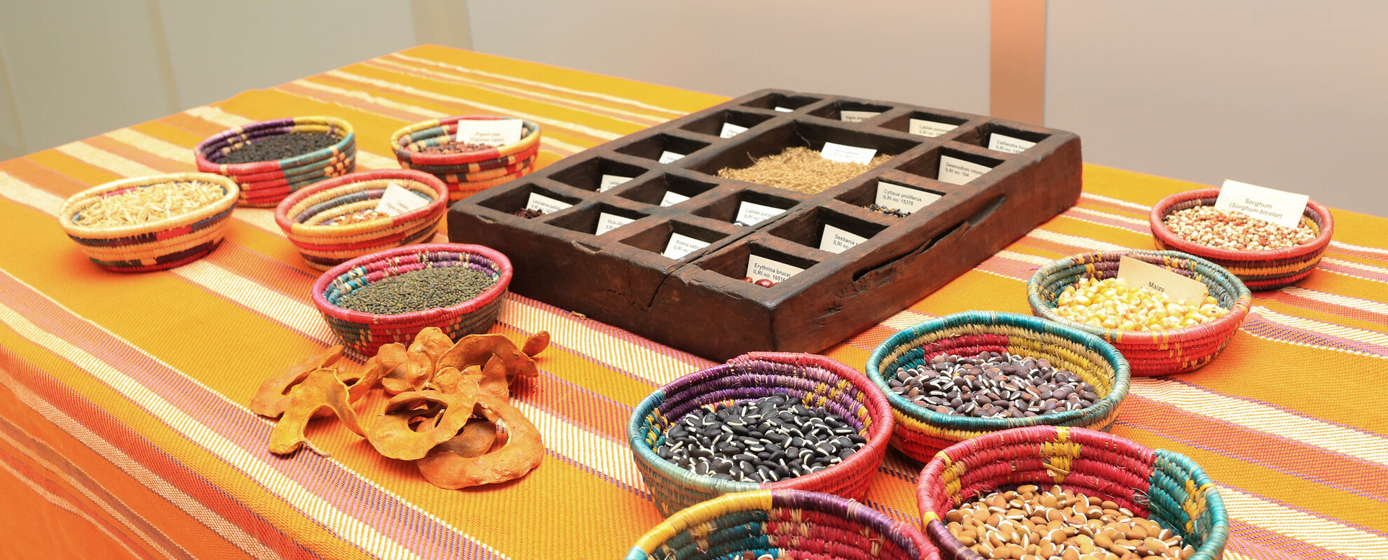 Forage seeds on a table