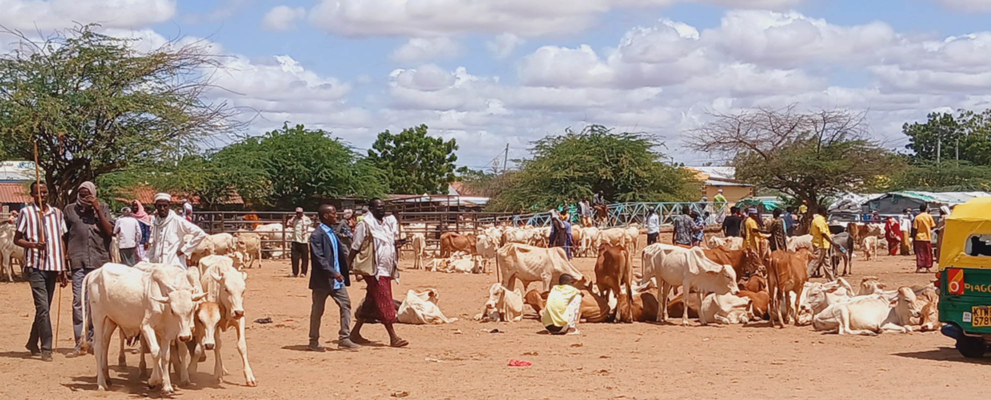 Livestock market in Northern Kenya