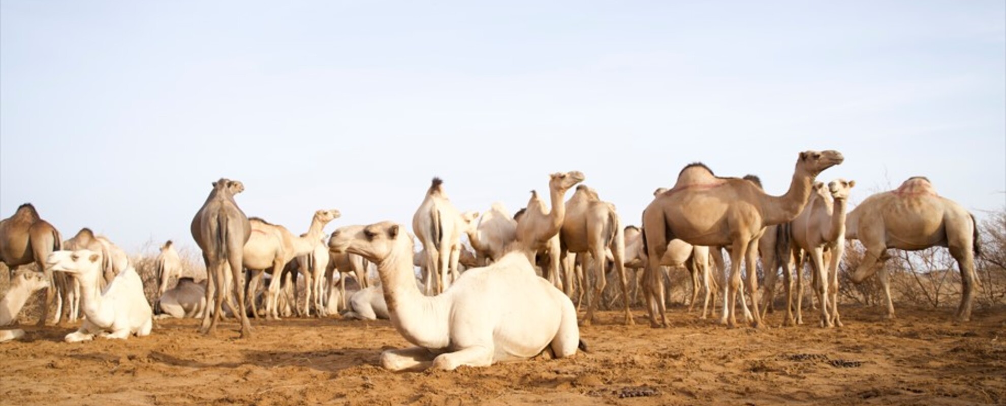 Wajir weather and Climate Pics