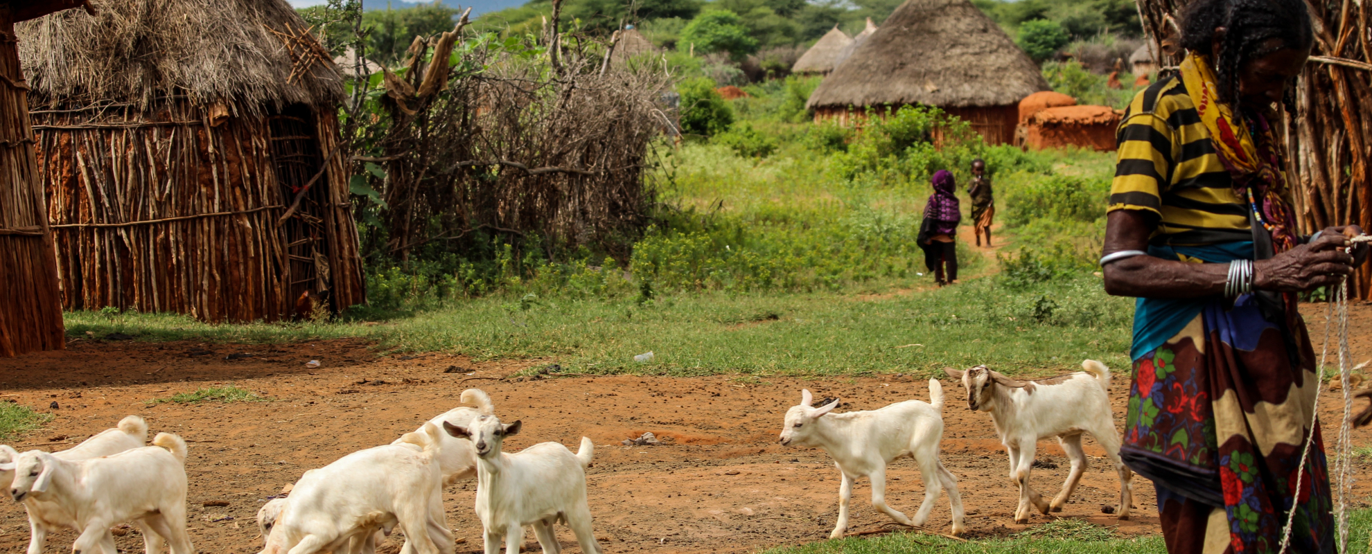 Borana herder