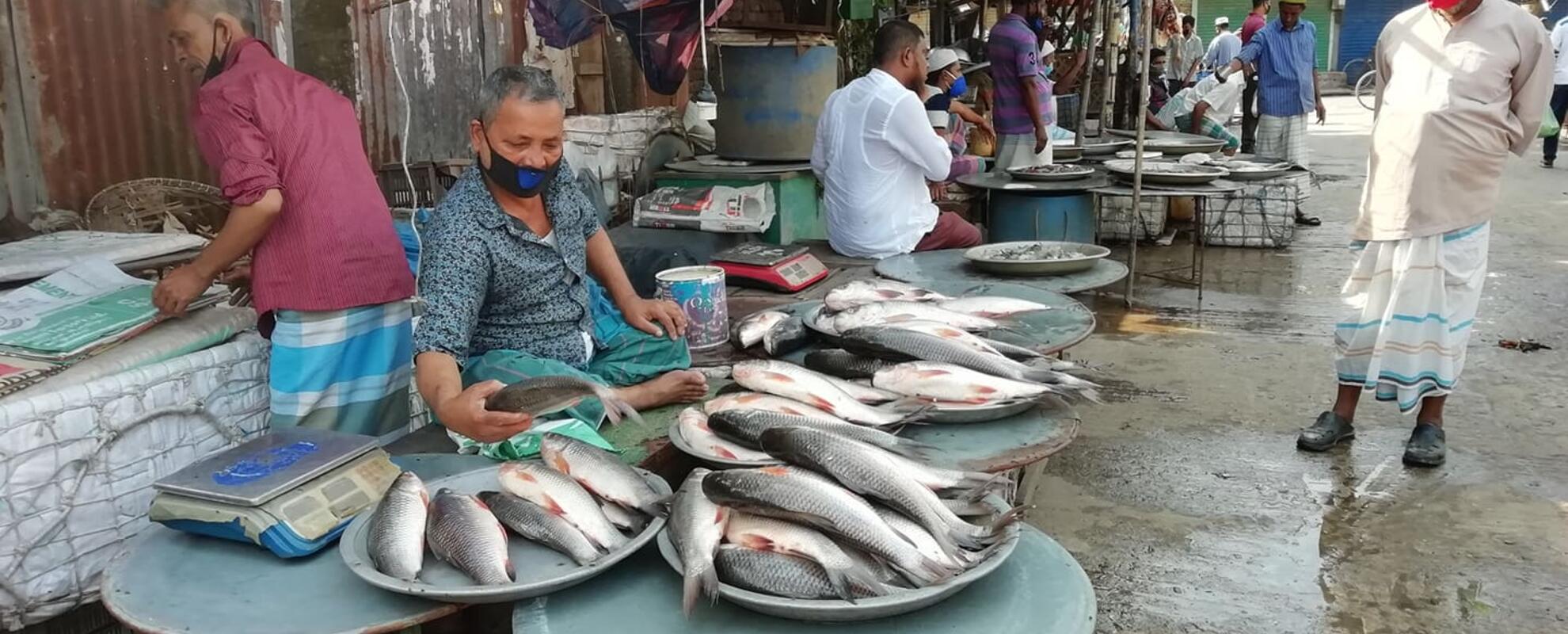 Bangladesh fish market