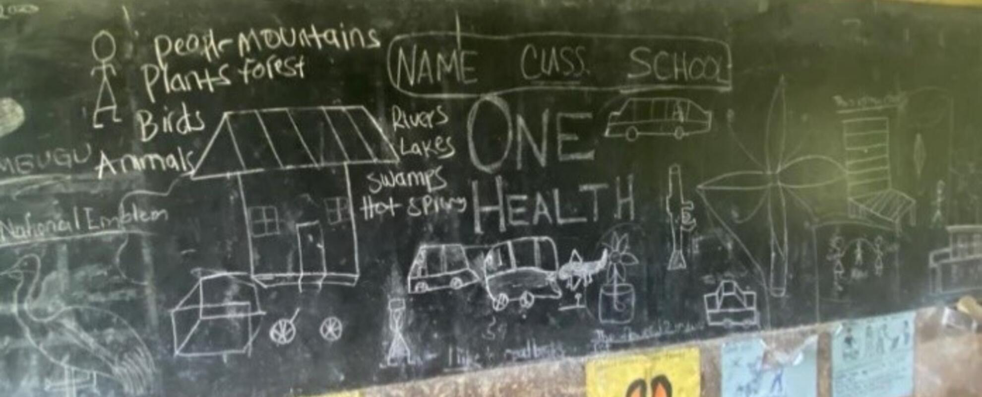 Illustration of the One Health approach by primary school pupils in Uganda (photo credit: COHESA/YOLIDA).