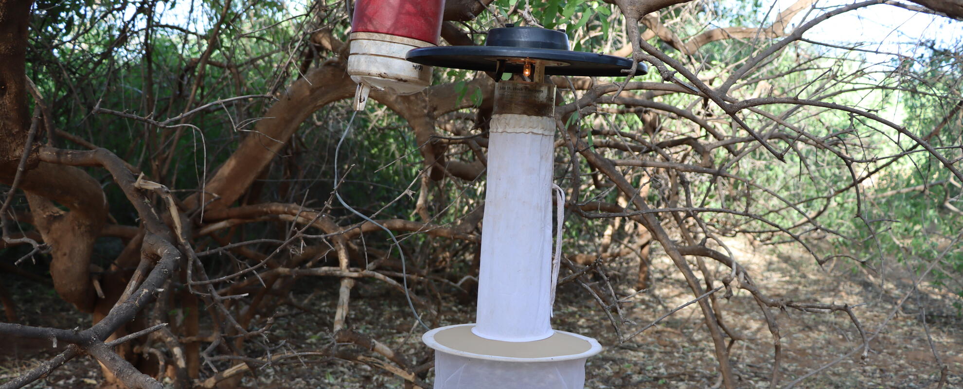 A mosquito trap 