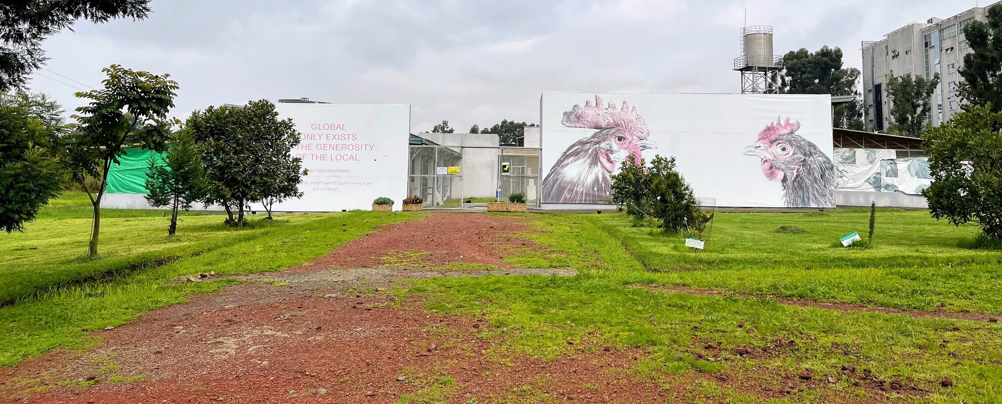 The ILRI poultry facility in Addis Ababa, Ethiopia