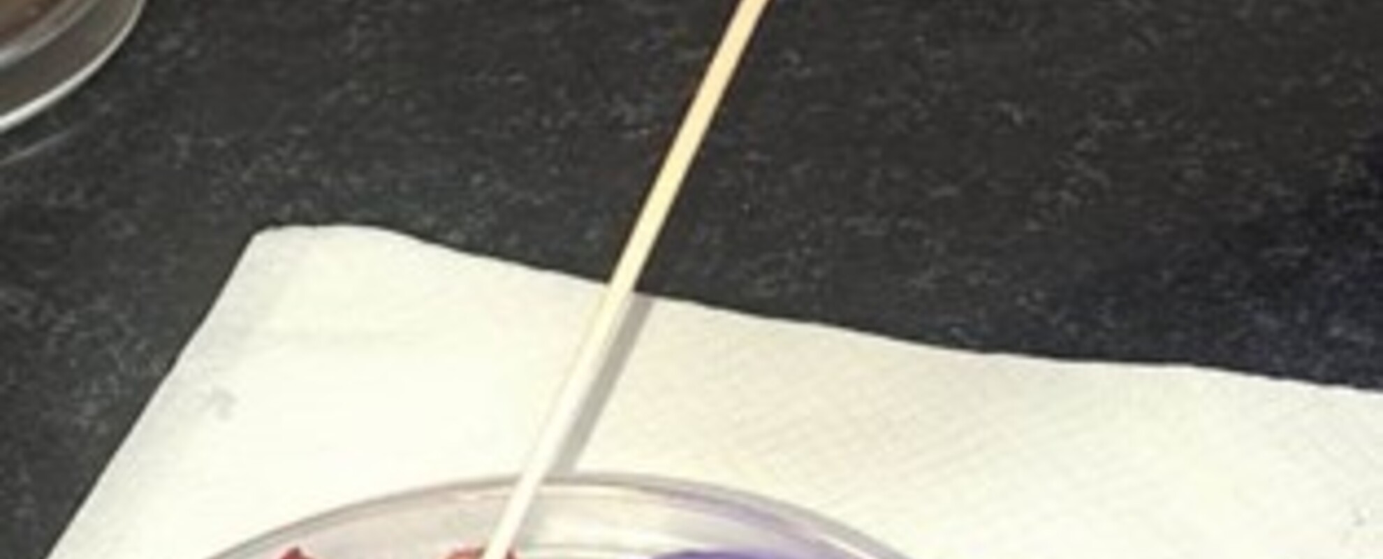 Application of decontaminant wipe on meat and meat contact surface 