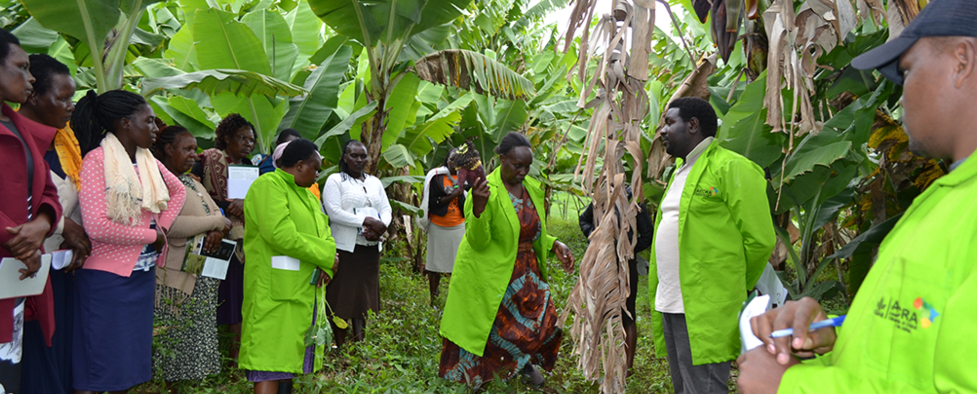 A Farmer field day on the pioneer farmers' farm