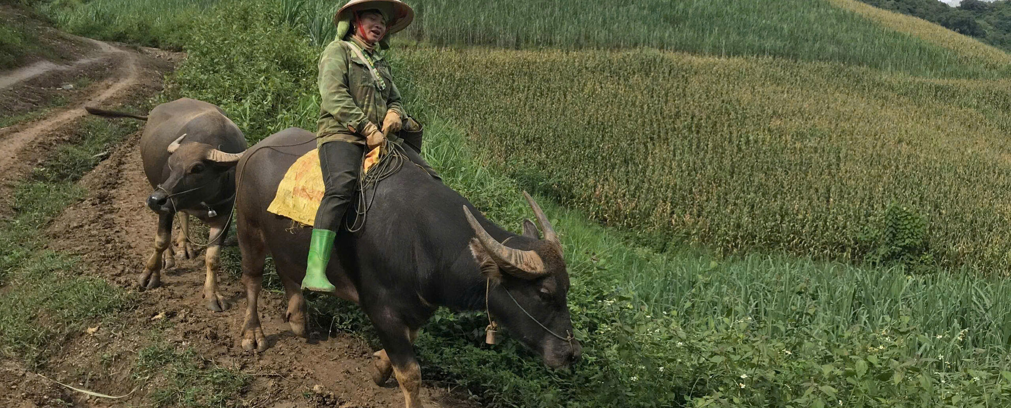 A farmer in Northwest highlands of Vietnam