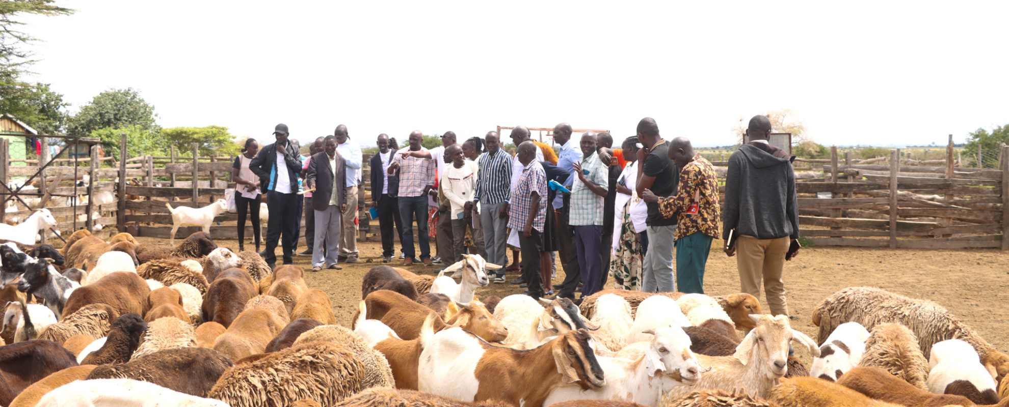 Baringo farmers exchange 