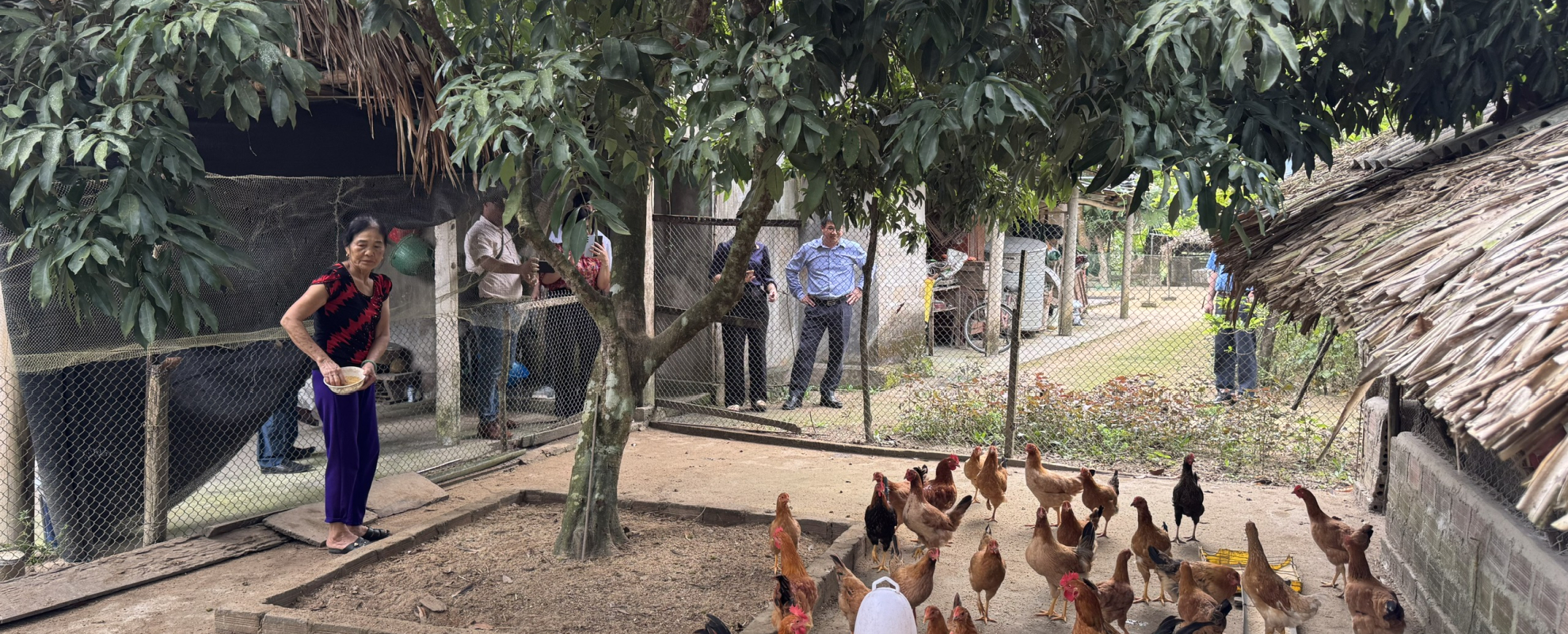 A chicken farmer in Quang Tri Province, Vietnam