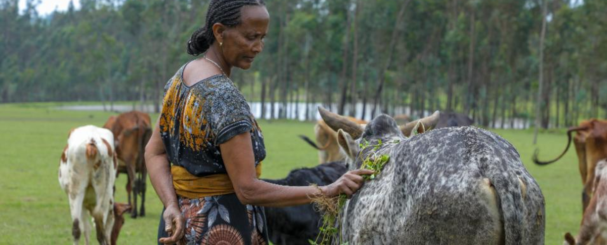 Farmer Kebebush Admasu