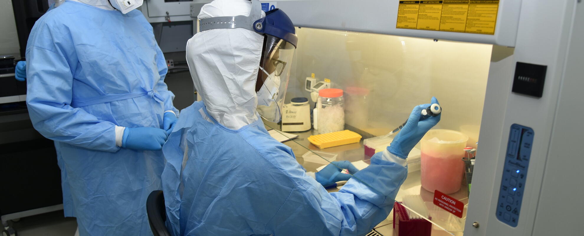 Bio security level 3 lab at ILRI
