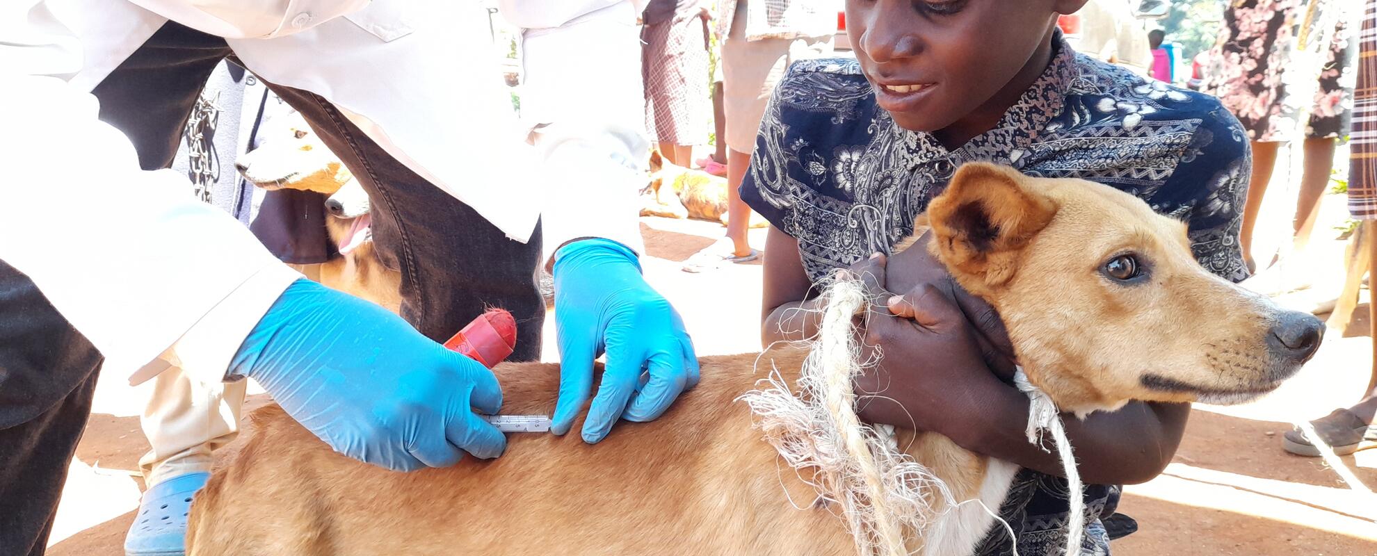Towards eradicating rabies in Kenya: One Health Centre in Africa ...