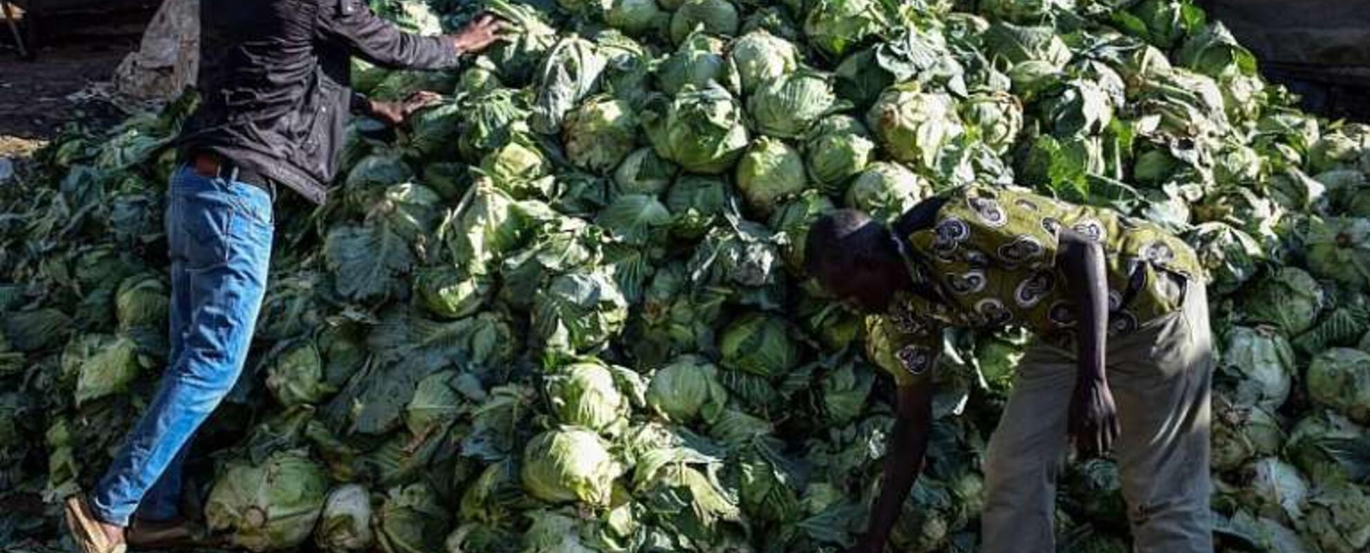 How COVID-19 measures have affected food safety in East Africa